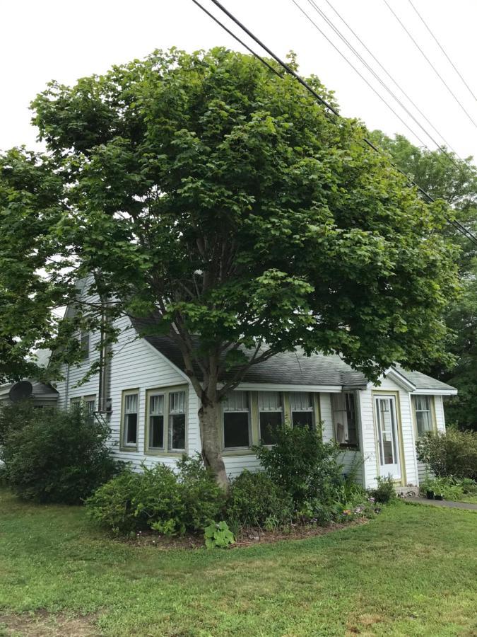 Studio 181 Bed & Breakfast Bed & Breakfast Port Clyde Exterior foto